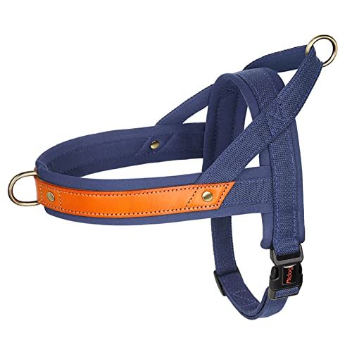 Nylon-Hundehalsband-Geschirr-Leine-Set, Kein Ziehen, Leder, Welpen-Hundegeschirr, Haustierweste, Gurt for Kleine, Mittelgroße Hunde, Französische Bulldogge (Color : Dark Blue Harness, Size : L) von REYNEM