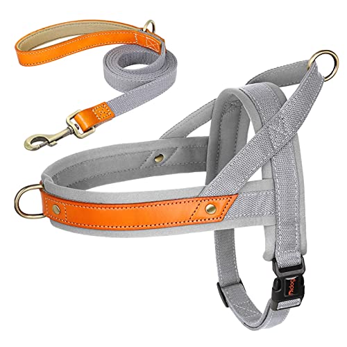 Nylon-Hundehalsband-Geschirr-Leine-Set, Kein Ziehen, Leder, Welpen-Hundegeschirr, Haustierweste, Gurt for Kleine, Mittelgroße Hunde, Französische Bulldogge (Color : Gray 2 Set, Size : S) von REYNEM