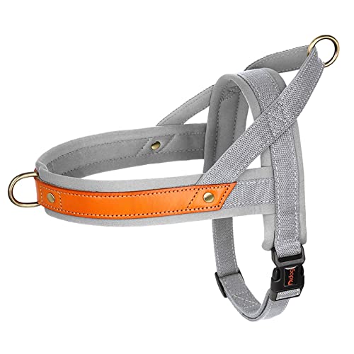 Nylon-Hundehalsband-Geschirr-Leine-Set, Kein Ziehen, Leder, Welpen-Hundegeschirr, Haustierweste, Gurt for Kleine, Mittelgroße Hunde, Französische Bulldogge (Color : Gray Harness, Size : M) von REYNEM