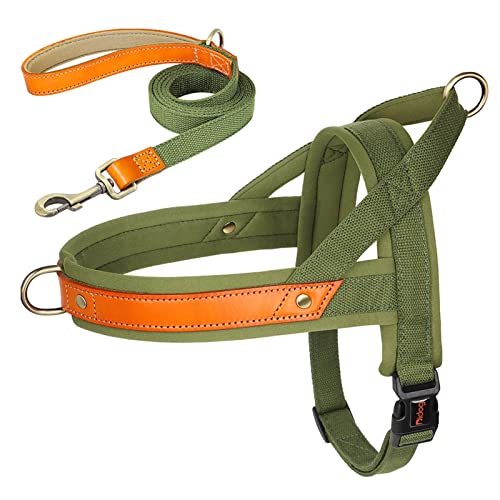 Nylon-Hundehalsband-Geschirr-Leine-Set, Kein Ziehen, Leder, Welpen-Hundegeschirr, Haustierweste, Gurt for Kleine, Mittelgroße Hunde, Französische Bulldogge (Color : Green 2 Set, Size : XS) von REYNEM