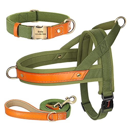 Nylon-Hundehalsband-Geschirr-Leine-Set, Kein Ziehen, Leder, Welpen-Hundegeschirr, Haustierweste, Gurt for Kleine, Mittelgroße Hunde, Französische Bulldogge (Color : Green 3 Set, Size : M) von REYNEM