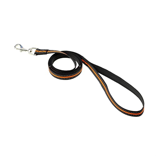 Nylon-Hundeleine Nacht Reflektierende Haustierleine DREI Größen for Große, Mittelgroße Und Kleine Hunde & Amp; Katzen for Hundetraining Heimtierbedarf (Color : Orange, Size : 2.0x120cm) von REYNEM