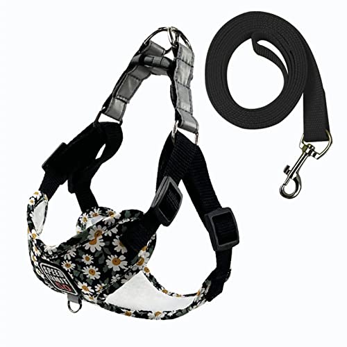 Pet Dog Harness Nylon Pull-Free Reflektierender Hundebrustgurt Atmungsaktives Verstellbares Haustierhalsband for Kleine Hunde Und Katzen (Color : Black, Size : XL) von REYNEM