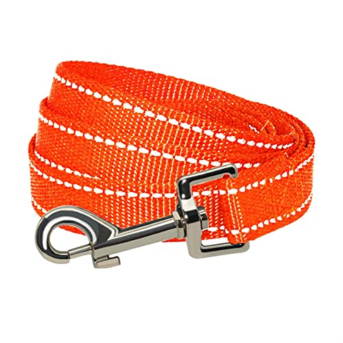 Reflektierende, Strapazierfähige Nylon-Hundeleine for Kleine, Mittelgroße Hunde, Die Laufen, Gehen, Hundehalsband, Leine, Haustier, Katze, Hundegeschirr (Color : Orange, Size : 2.0cm x 150cm) von REYNEM