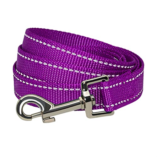 Reflektierende, Strapazierfähige Nylon-Hundeleine for Kleine, Mittelgroße Hunde, Die Laufen, Gehen, Hundehalsband, Leine, Haustier, Katze, Hundegeschirr (Color : Purple, Size : 2.5cm x 150cm) von REYNEM