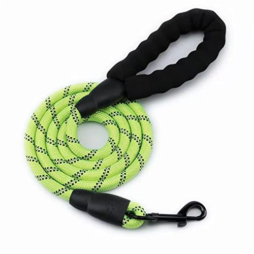 Reflektierendes Seil Aus Nylon for Hunde, Verstellbar, Reflektierendes Geschirr, Labrador, Französische Bulldogge, Trainingshunde, Kettenzugsicherheitsleinen (Color : Green) von REYNEM