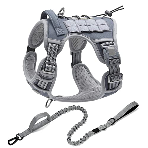 Reflektierendes Taktisches Geschirr for Große Kleine Hunde, Trainingsweste, Leine, Haustiergeschirr Und Leine, Set for Hunde Im Freien, Verstellbar, Gepolstert ( Color : Grey Set , Size : M ) von REYNEM