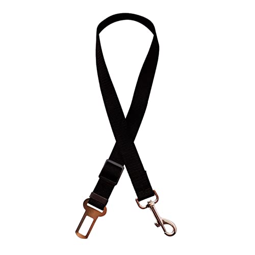 Sicherheitsgurt for Hunde, Auto-Sicherheitsgurt for Hunde, Verstellbar, Strapazierfähig, Aus Nylon, Reflektierender Bungee-Stoff, Haltegurt for Auto, Reisezubehör for Haustiere (Color : Black (no ela Sicherheitsgurt for Hunde, Auto-Sicherheitsgurt for Hunde, Verstellbar, Strapazierfähig, Aus Nylon, Reflektierender Bungee-Stoff, Haltegurt for Auto, Reisezubehör for Haustiere (Color : Black (no ela von REYNEM