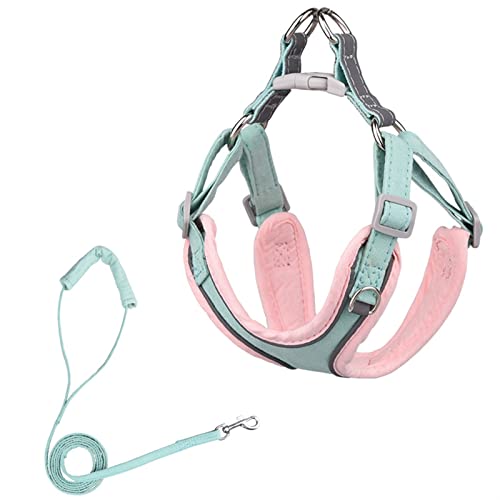 Verstellbares Hundegeschirr, Kein Ziehen, for Welpen, Katzen, Outdoor-Laufleine, Französische Bulldogge, Chihuahua, Halsband, Seil for Kleine, Mittelgroße Hunde (Color : Green-Pink, Size : M) von REYNEM