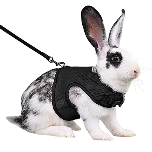 Verstellbares Weiches Geschirr Mit Elastischer Leine for Kaninchen S/M/L Easy Control Bunny Harness Leash 3 Größen Kaninchenweste (Size : L) von REYNEM