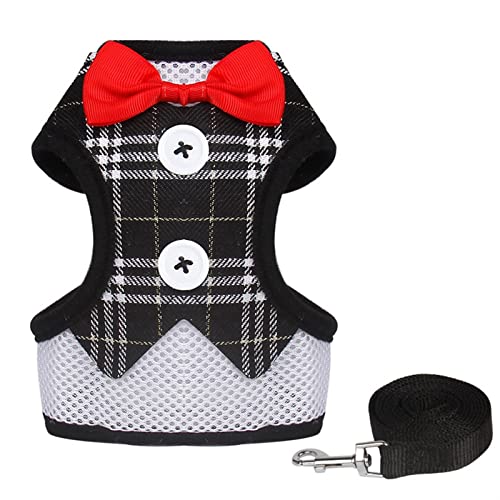 Welpen Katzen Kaninchen Geschirr Und Leine Set for Kleine Hunde Netzgeschirr Weste Kleid Schleife Brustgurt ChihuahuaHaustiere Zubehör (Color : 707-BG, Size : L) von REYNEM