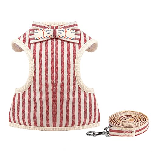 Welpen Katzen Kaninchen Geschirr Und Leine Set for Kleine Hunde Netzgeschirr Weste Kleid Schleife Brustgurt ChihuahuaHaustiere Zubehör (Color : Red, Size : S) von REYNEM