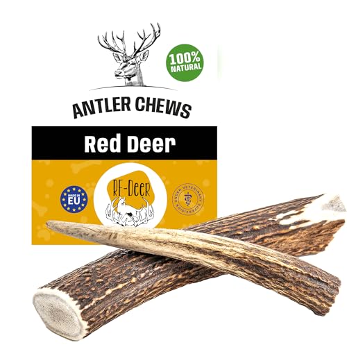 RF - Deer Hundesnack Rothirsch Geweih Kausnack Premium | Hirschgeweih für Hunde | 100% natürlicher | Gesunder Hundespielzeug | Kauknochen für Genuss und Zahnpflege | Hard | M | 71-120 g | 14-16 cm von RF - Deer