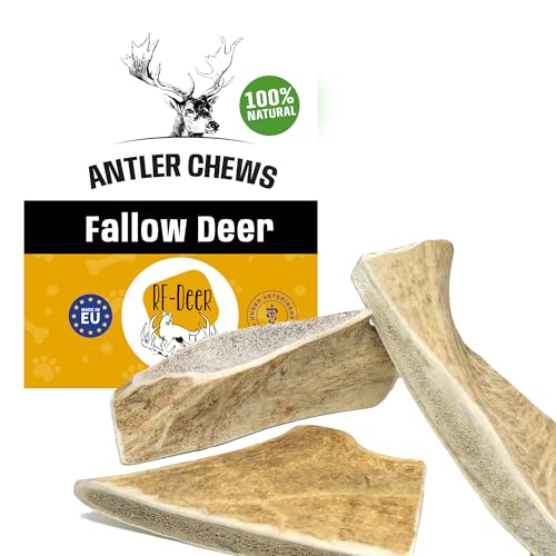 RF - Deer Damhirschgeweih, Natürlicher Geweih-Kausnack für Hunde Größe M - 1 Stück - Gesunder Kauspielzeug, Kauknochen für Genuss und Zahnpflege, Erhältlich in verschiedenen Varianten von RF - Deer