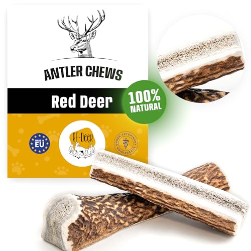 RF - Deer Hundesnack Rothirsch Geweih Kausnack Premium | Hirschgeweih für Hunde | 100% natürlicher | Gesunder Hundespielzeug | Kauknochen für Genuss und Zahnpflege | Soft | L | 111-150 g | 17-19 cm von RF - Deer