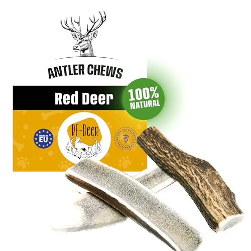 RF - Deer Hundesnack Rothirsch Geweih Kausnack Premium | Hirschgeweih für Hunde | 100% natürlicher | Gesunder Hundespielzeug | Kauknochen für Genuss und Zahnpflege | Soft | M | 71-110 g | 14-16 cm von RF - Deer