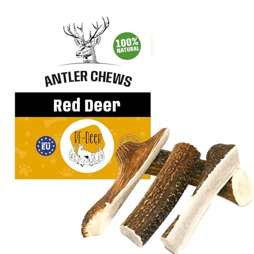 RF - Deer Hundesnack Rothirsch Geweih Kausnack Premium | Hirschgeweih für Hunde | 100% natürlicher | Gesunder Hundespielzeug | Kauknochen für Genuss und Zahnpflege | Soft | M | 71-110 g | 14-16 cm von RF - Deer