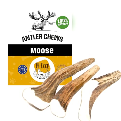 RF - DEER Elchgeweih, Geweihstück Größe L - 1 Stück - Natürlicher Geweih-Kausnack für Hunde, Gesunder Kauspielzeug, Kauknochen für Genuss und Zahnpflege, Hard Version, 70-120 g, 12-17 cm von RF - Deer