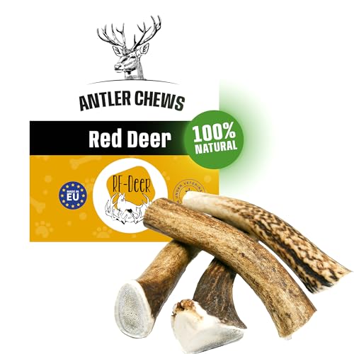 RF - Deer Hundesnack Rothirsch Geweih Kausnack | Hirschgeweih für hunde | 100% natürlicher | Gesunder Hundespielzeug | Kauknochen für Genuss und Zahnpflege | HARD | 5er Pack | L | 350-600 g | 14-16 cm von RF - Deer