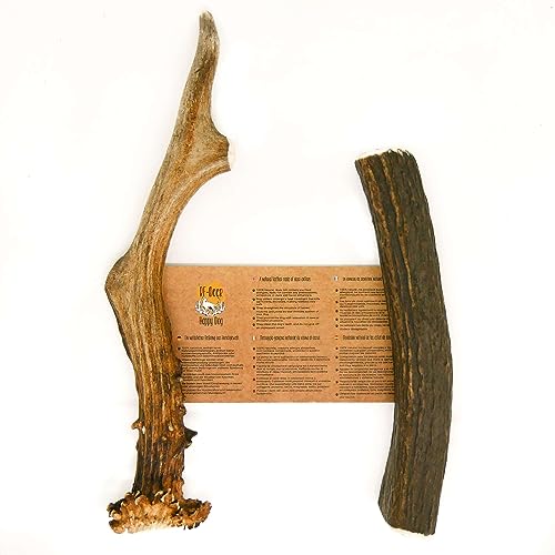 RF - Deer Kauknochen Set aus Naturgeweih für Hunde, 2 Stück, Hundespielzeug & Leckerlis, Hirschgeweih, Ziegengeweih, Natürlicher, Getreidefrei, Hard, L - Große, 14-22 cm von RF - Deer