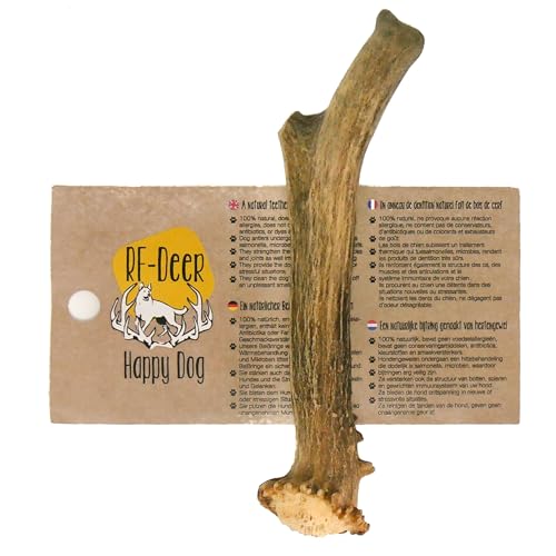 RF - Deer Ziegengeweih, Natürlicher Geweih-Kausnack für Hunde Größe S Hard - 1 Stück - Gesunder Kauspielzeug, Kauknochen für Genuss und Zahnpflege, Erhältlich in verschiedenen Varianten von RF - Deer