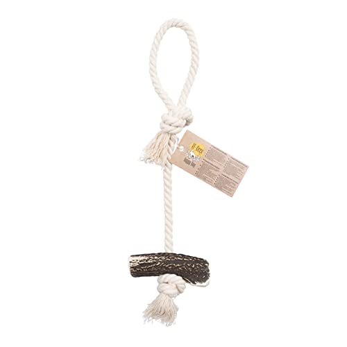 RF - Deer Kauseil für Hunde mit Hirschgeweih, 55-60 cm, Größe XL, Spielzeug, Kauartikel, Natürlicher und sicherer Beißring, Langlebiges, Hirschgeweih und Baumwolle, Hard Version RF - Deer Kauseil für Hunde mit Hirschgeweih, 55-60 cm, Größe XL, Spielzeug, Kauartikel, Natürlicher und sicherer Beißring, Langlebiges, Hirschgeweih und Baumwolle, Hard Version von RF - Deer