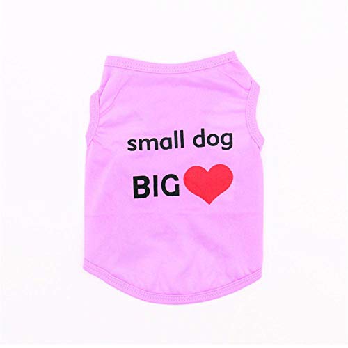 RFDFG Haustier Hund Kleidung Sommer Welpe Haustier Kleidung für Hund Weste Shirt Winter warme Hunde Haustiere Kleidung Chihuahua Yorkshire Kleidung für Hunde, 4, M. RFDFG Haustier Hund Kleidung Sommer Welpe Haustier Kleidung für Hund Weste Shirt Winter warme Hunde Haustiere Kleidung Chihuahua Yorkshire Kleidung für Hunde, 4, M. von RFDFG