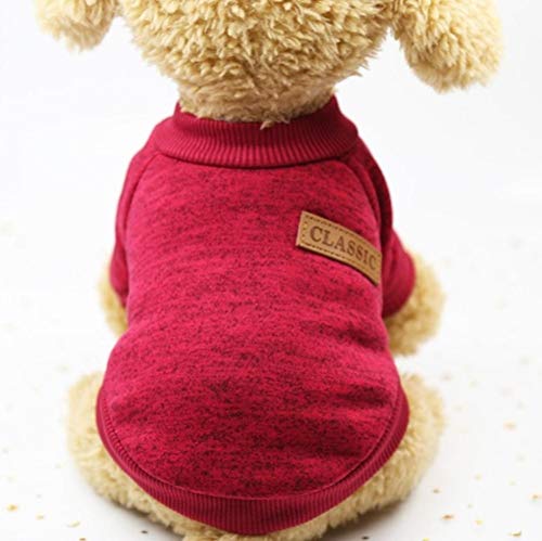 RFDFG Warme Hundekleidung Wolle Welpen Hund Jacke Winter Strickpullover für kleine Hunde Kleidung Einfache Ropa para Perro XS-2XL, Redwine, M. RFDFG Warme Hundekleidung Wolle Welpen Hund Jacke Winter Strickpullover für kleine Hunde Kleidung Einfache Ropa para Perro XS-2XL, Redwine, M. von RFDFG