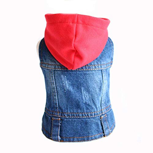 RFDFG XS-2XL Denim Hundekleidung Cowboy Pet Dog Coat Welpenkleidung für kleine Hunde Jeans Jacke Hundeweste Mantel Welpen Outfits Katzenkleidung, D, L. von RFDFG