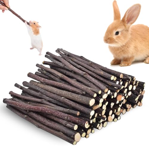 RFYTDCF 250g Hamster Kauspielzeug, Kaninchen Kauspielzeug Apfel Holz Nager Bunny Kaustock Apfelstäbchen Hamster Zubehör Backenzahn und Zähneknirschspielzeug für Kleine Haustiere RFYTDCF 250g Hamster Kauspielzeug, Kaninchen Kauspielzeug Apfel Holz Nager Bunny Kaustock Apfelstäbchen Hamster Zubehör Backenzahn und Zähneknirschspielzeug für Kleine Haustiere von RFYTDCF