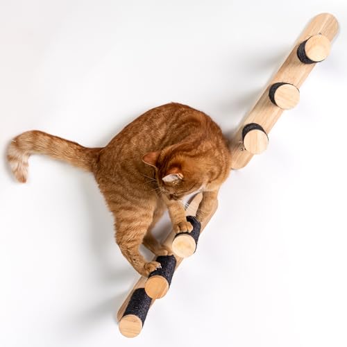 RHRQuality Wandmöbel Kletterwand Katze – Leiter-Set 2-teilig – Tragkraft bis 20 kg – Für große Katzen – Blackline von RHRQUALITY