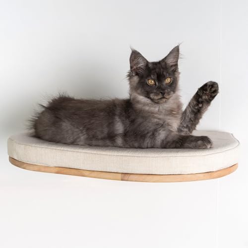 RHRQuality Wandmöbel Kletterwand Katze – Luxuriöses Katzenbett 50 cm – Tragkraft bis zu 20 kg – Für große Katzen – Mit herausnehmbarem Kissen – Crème von RHRQUALITY