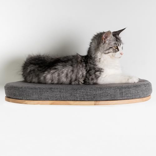 RHRQuality Wandmöbel Kletterwand Katze – Luxuriöses Katzenbett 50 cm – Tragkraft bis zu 20 kg – Für große Katzen – Mit herausnehmbarem Kissen – Grau von RHRQUALITY