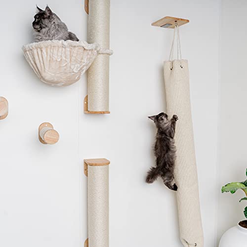 RHRQuality Katze klettersack Wandmöbel Kletterwand (Bis 20KG) 175 x 30 cm für alle Katzen (Beige) von RHRQUALITY