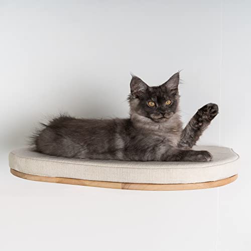 RHRQUALITY Katzenregal katzenliege wandmöbel Katze Katzenbett de Luxe XXL wandmontage wandbrett (Bis 20KG) 53cm für große Katzen (Beige) von RHRQUALITY