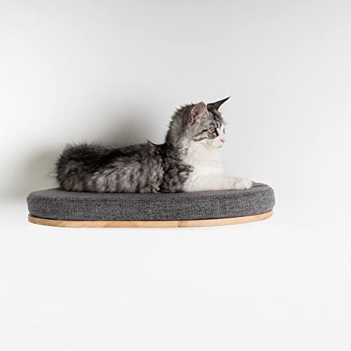 RHRQUALITY Katzenregal katzenliege wandmöbel Katze Katzenbett de Luxe XXL wandmontage wandbrett (Bis 20KG) 53cm für große Katzen (Grau) von RHRQUALITY