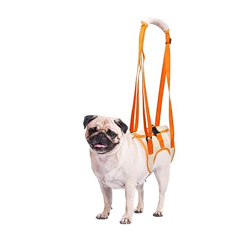 Hundegeschirr, Tragehilfe Hund Hinten, Dog Lift Harness Tragbarer Hebeband-Tragegurt Helfen Sie Hunden Mit Schwachen Hinterbeinen, für Verletzte Behinderte Kleine, Mittlere und Große Hunde(Größe M) von RICHDMI