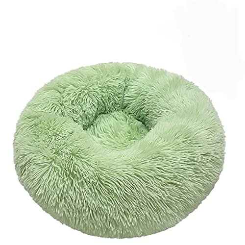 RICHRAIN Beignet rundes Katzenstreu, tiefer Schlaf, für Hunde, Sofa, Teppich für Haustiere, warm, flauschig (L(D70 cm), Gras) von RICHRAIN
