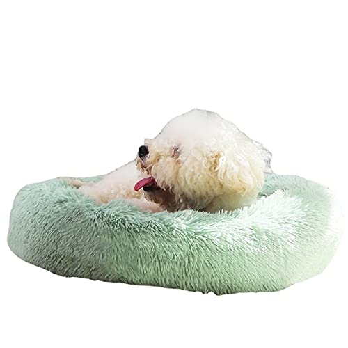 RICHRAIN Donut Beruhigendes Katzen- und Hundebett, Plüsch, waschbar, super weich und flauschig, für warme Schlafen, 40 cm, Grün von RICHRAIN