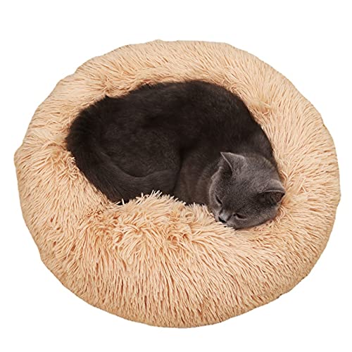 RICHRAIN Donut Beruhigendes Katzen- und Hundebett, Plüsch, waschbar, super weich und flauschig, für warmen Schlaf (50 cm, Aprikose) von RICHRAIN