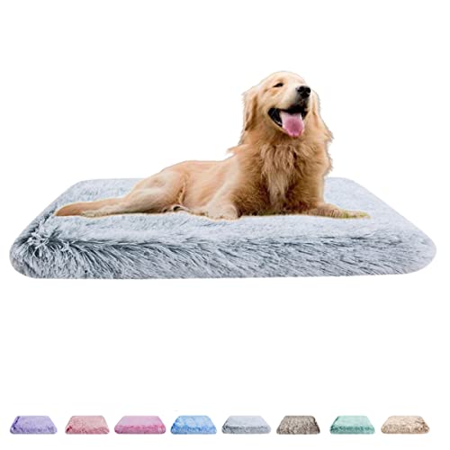 RICHRAIN Hochwertige Hundebetten und Katzenbetten - Flauschige und Waschbare Schlafplätze und Möbel für Hunde und Katzen von RICHRAIN