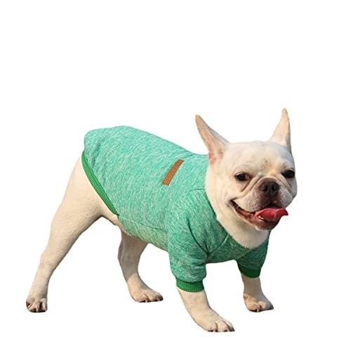 RICHRAIN Hundepullover, warm, dick, für kleine und mittelgroße Hunde, Welpen, Kätzchen, Größe M, Grün von RICHRAIN