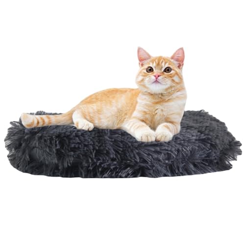 RICHRAIN Katzenkissen Rund,Plüschkissen für Katzen und Hunde, rund, warme Matte, weich und bequem, für Wohnzimmer (Dunkelgrau, 40cm) von RICHRAIN