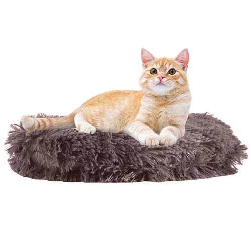 RICHRAIN Katzenkissen Rund,Plüschkissen für Katzen und Hunde, rund, warme Matte, weich und bequem, für Wohnzimmer (Kaffeebraun, 40cm) von RICHRAIN