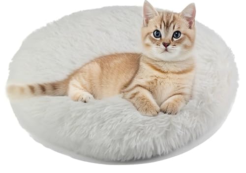RICHRAIN Katzenkissen Rund,Plüschkissen für Katzen und Hunde, rund, warme Matte, weich und bequem, für Wohnzimmer (weiß, 50cm) von RICHRAIN