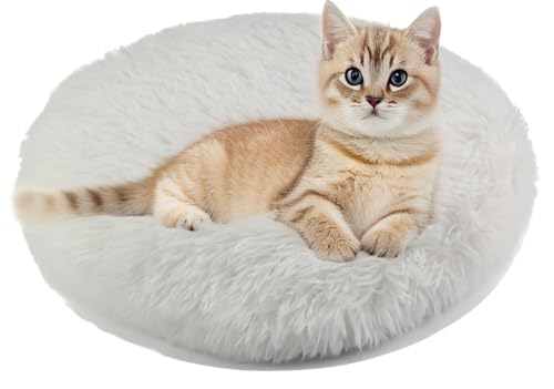 RICHRAIN Katzenkissen Rund,Plüschkissen für Katzen und Hunde, rund, warme Matte, weich und bequem, für Wohnzimmer (weiß, S 37CM) von RICHRAIN