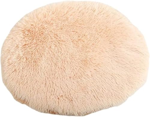 RICHRAIN Katzenkissen Rund,Plüschkissen für Katzen und Hunde, rund, warme Matte, weich und bequem, für Wohnzimmer (Beige, S 37CM) von RICHRAIN