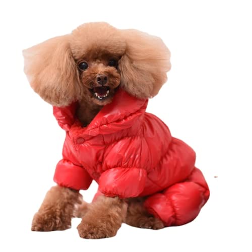 RICHRAIN Warmer Mantel und Jacke für kleine Hunde, Winter-Hundekleidung, wasserdicht, winddicht, Outdoor-Haustierkleidung für Chiwawa Teddy Bichon Schnauzer (XL, Rot) von RICHRAIN