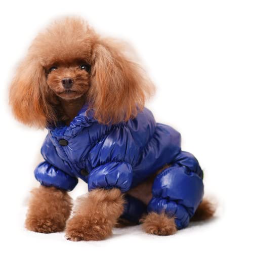 RICHRAIN Warmer Mantel und Jacke für kleine Hunde, Winter-Hundekleidung, wasserdicht, winddicht, Outdoor-Haustierkleidung für Chiwawa Teddy Bichon Schnauzer (XL, blau) von RICHRAIN