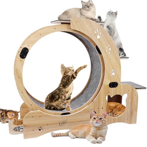 RIDEONMOP 6-in-1-Katzenlaufrad, großes Laufrad für Katzen für den Innenbereich, extrem leises Laufen für Katzen, Naturholz-Katzenlaufrad für die tägliche Bewegung Ihrer Katze RIDEONMOP 6-in-1-Katzenlaufrad, großes Laufrad für Katzen für den Innenbereich, extrem leises Laufen für Katzen, Naturholz-Katzenlaufrad für die tägliche Bewegung Ihrer Katze von RIDEONMOP
